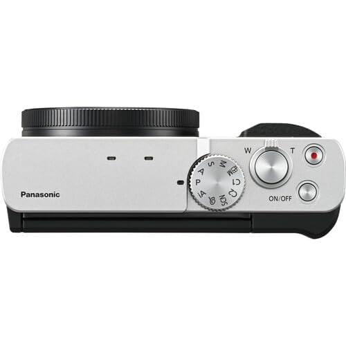 Panasonic ZS99 Digital Camera (Silver) Bundle + Accessory Kit with