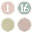 thumbnail image 2 of Teacher Created Resources Everyone is Welcome Numbers Magnetic Accents, 42 Per Pack, 3 Packs, 2 of 2