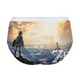 thumbnail image 4 of The Legend of Zelda Breath of The Wild Women's Brief Lady Lace Underwear Breathable Elastic Sexy Bikini Hipster Panties, 4 of 6