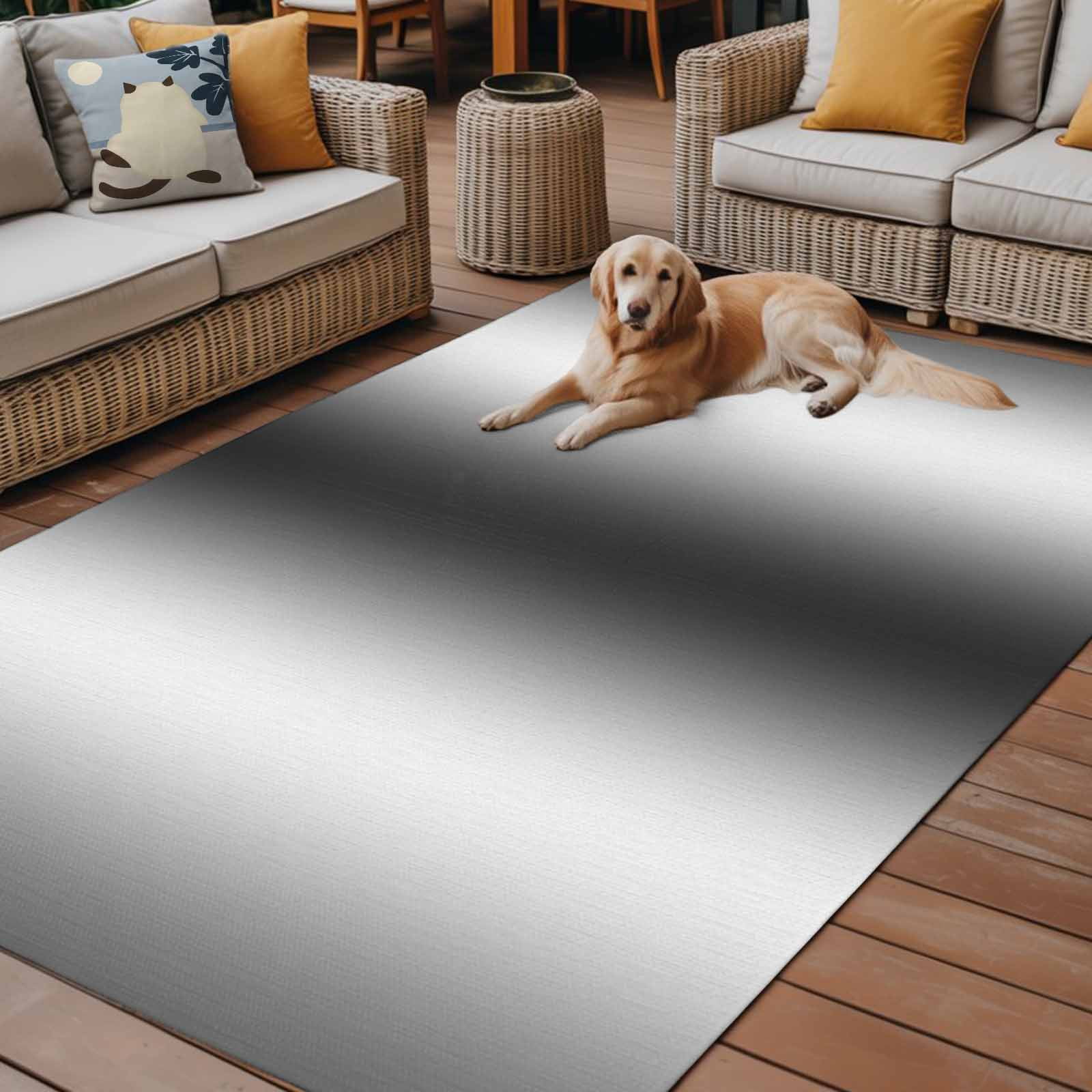 Outdoor Rug 4x6 Feet, Dark Grey White Entryway Rugs Floor Mats, Washable Runner Rug Non Slip, Farmhouse Ombre Color Modern Simple Indoor Outside Rugs for Patios/Porch/Camping