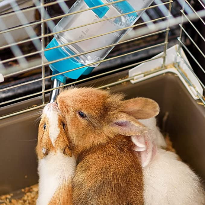 Accesorio Jaula Roedores Meiso Biberón Conejo 350ml - 2 Piezas, Antigoteo, Para Roedores Y Mascotas Pequeñas Botella Agua 350ml Antigoteo