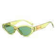 thumbnail image 1 of CSChome Lady Sunglasses Lady Sunglasses Oval Frame Vintage Hip Hop Eye Protection Photo Prop Sunglasses, 1 of 7