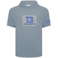 thumbnail image 2 of Men's Levelwear Gray Tampa Bay Rays 2025 Spring Training Phase Hoodie T-Shirt, 2 of 3