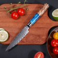 thumbnail image 3 of Fukep Kitchen Utility Knife, 5 Inch Paring Knife Sharp-edged Damascus Paring knife VG10 Core Steel With 67 Layers High Carbon Steel - Ergonomic Blue Handle - Small Fruit Knife, 3 of 7