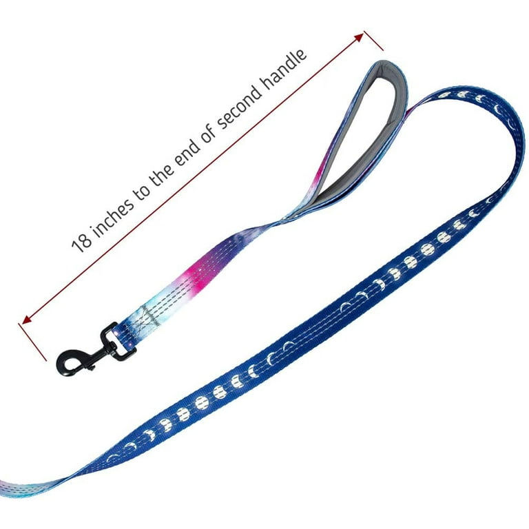 Dog leash with second handle cheap