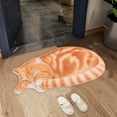 thumbnail image 6 of Djiypn 3D Pussy Theme Series Carpet,Welcome Floor Doormat 15.74x29.92in Non Slip Floor Mat Summer Holiday Funny Novelty Door Mats Indoor Outdoor Decor, 6 of 8
