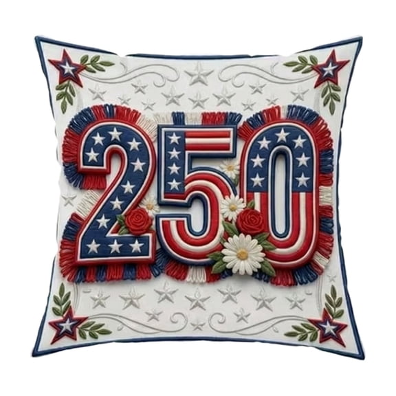 Outdoor Pillow Cover 250 Anniversary Patriotic Embroidered Throw Pillow Red Blue White Living Room Wall Decor Couch Throw Pillows for Living Room