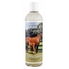 Jeffers Equine Simply Natural Horse Shampoo – pH Balanced, Sulfate Free Wash for Horses, Ponies & Foals – Detergent Free – Fresh Grooming Supply for Summer, Outdoor, Indoor Use – 16 oz