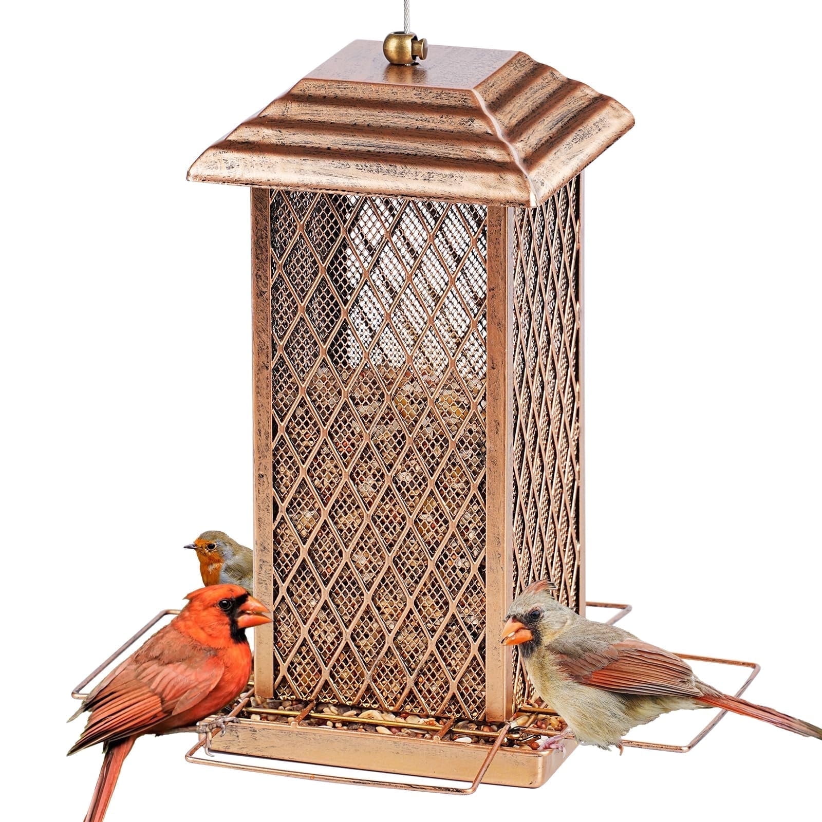 IWNTWY Metal Wild Bird Feeder for Outdoor Hanging, Heavy Duty Birdfeeder 3 lbs Capacity for Garden Yard Decoration