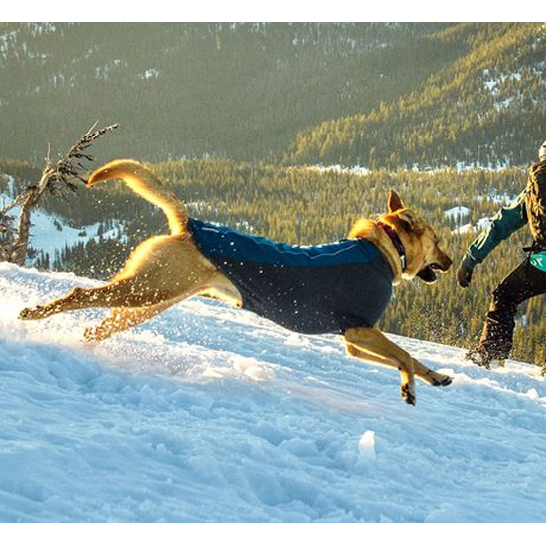 ruffwear cloud chaser coat