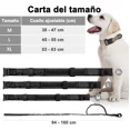 thumbnail image 2 of Collar Y Cuerda Para Perros Medianos Y Grandes, 2 of 7