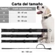 thumbnail image 2 of Collar Y Cuerda Para Perros Medianos Y Grandes, 2 of 7