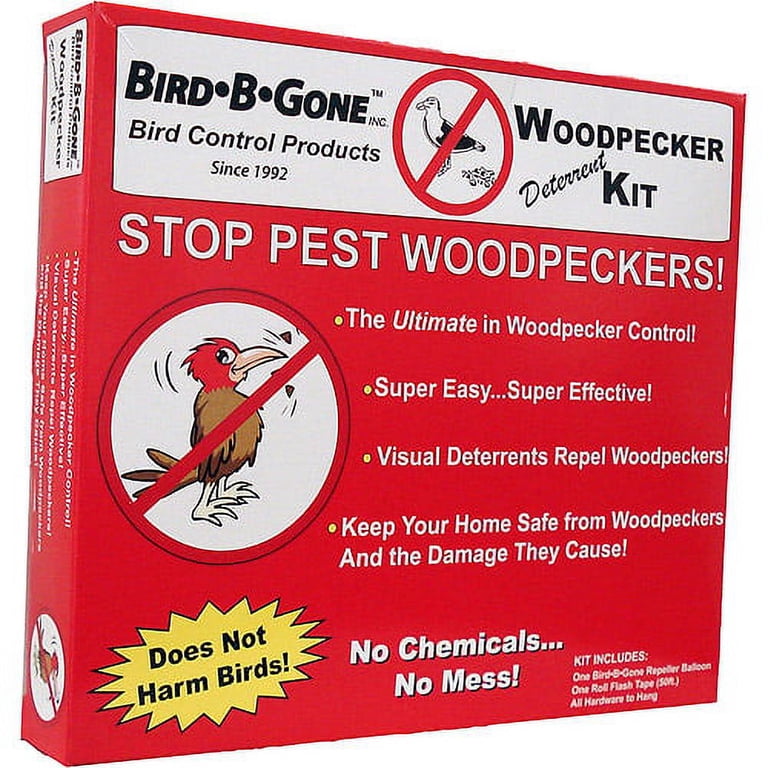 Sick Bird Labored Breathing: Emergency Signs & Life-Saving Tips