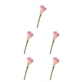 thumbnail image 3 of Billuyoard Ramos de alcatraces no tóxicos de apariencia realista de 20 piezas para madres y amantes Rosa Artificial Type2 NO2, 3 of 6