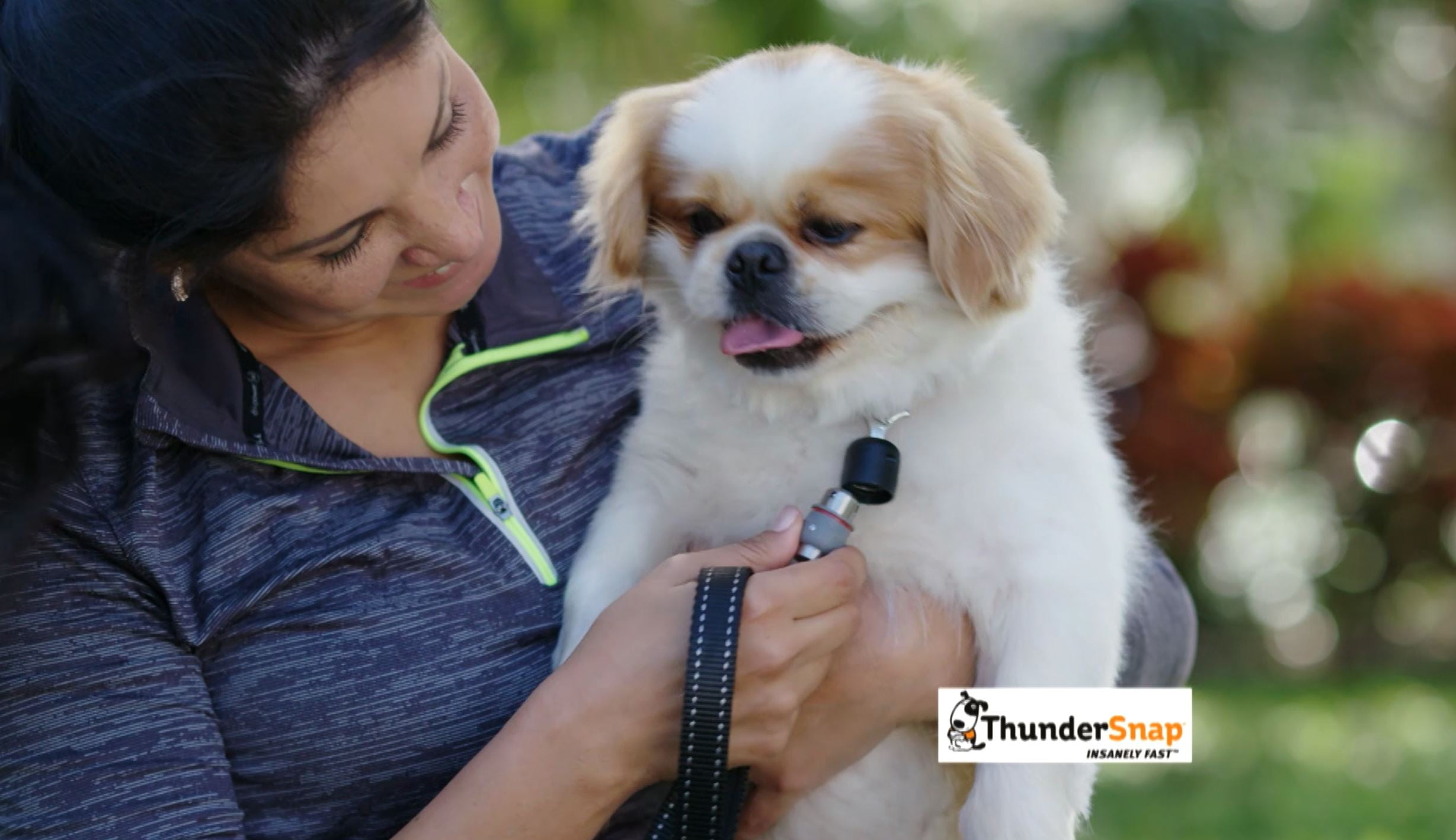 Thundersnap dog leash cheap