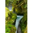 thumbnail image 2 of Johnson, George 17x24 White Modern Wood Framed Museum Art Print Titled - North Cascades NP V, 2 of 4