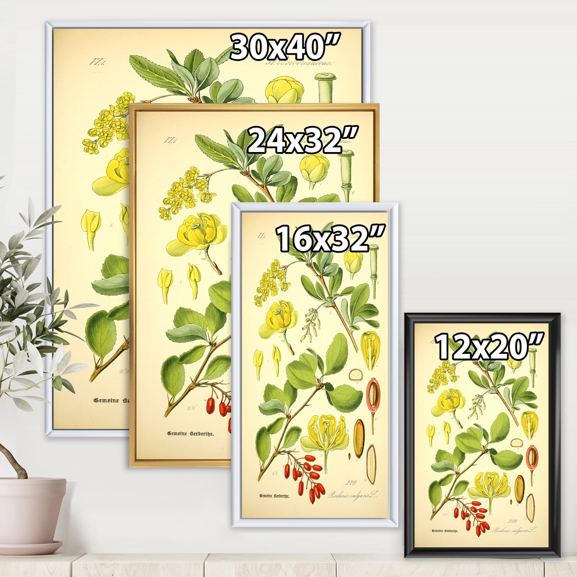 Ancient Plant Life II 30 in x 40 in Framed Painting Canvas Art Print, by Designart