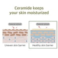 thumbnail image 4 of Mascarilla facial ROUND LAB Soybean Nourishing con soja negra, 4 of 7