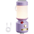 thumbnail image 2 of Gear Lamp for Kids Set Toddler Flashlight Convenient LED Light Rechargeable Battery Portable Night Light,1 * Gear lamp,Purple, 2 of 9