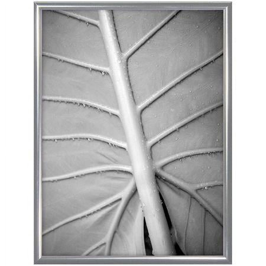 Classic Silverplated Aluminum POSTER 18x24 frame by MCS - 18x24