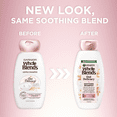 thumbnail image 3 of Garnier Whole Blends Gentle Moisturizing Shampoo, Oat Milk, Rice Cream Extract, Dry Hair 28 fl oz, 3 of 6