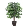 thumbnail image 1 of Vickerman TBU0140-RB 4 ft. Ficus Bush in Plastic Container, 1 of 6