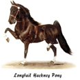thumbnail image 2 of CafePress - Hackney Pony -  Round Wood Ornament 4", 2 of 2