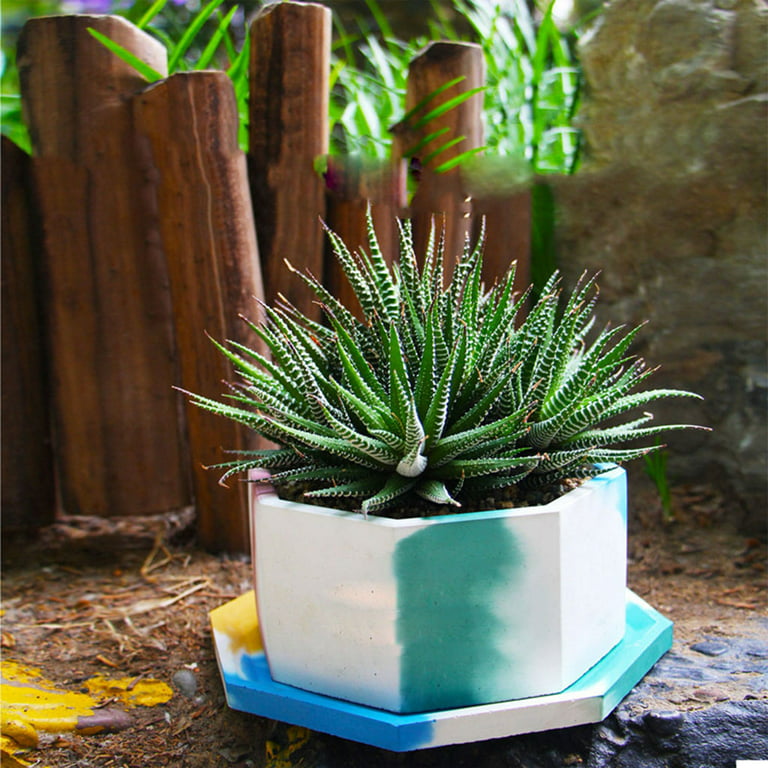 2Pcs Succulent Plants Pot Concrete Cement Mold Flower Pot Plaster