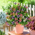 thumbnail image 6 of Artificial Boxwood Topiary Ball Bushes with Purple Flowers, Ongmies 24-Inch Artificial Boxwood Topiary Tree with Flowers – Faux Plants for Outdoor Garden, Porch, Patio, and Yard Decor, 6 of 7