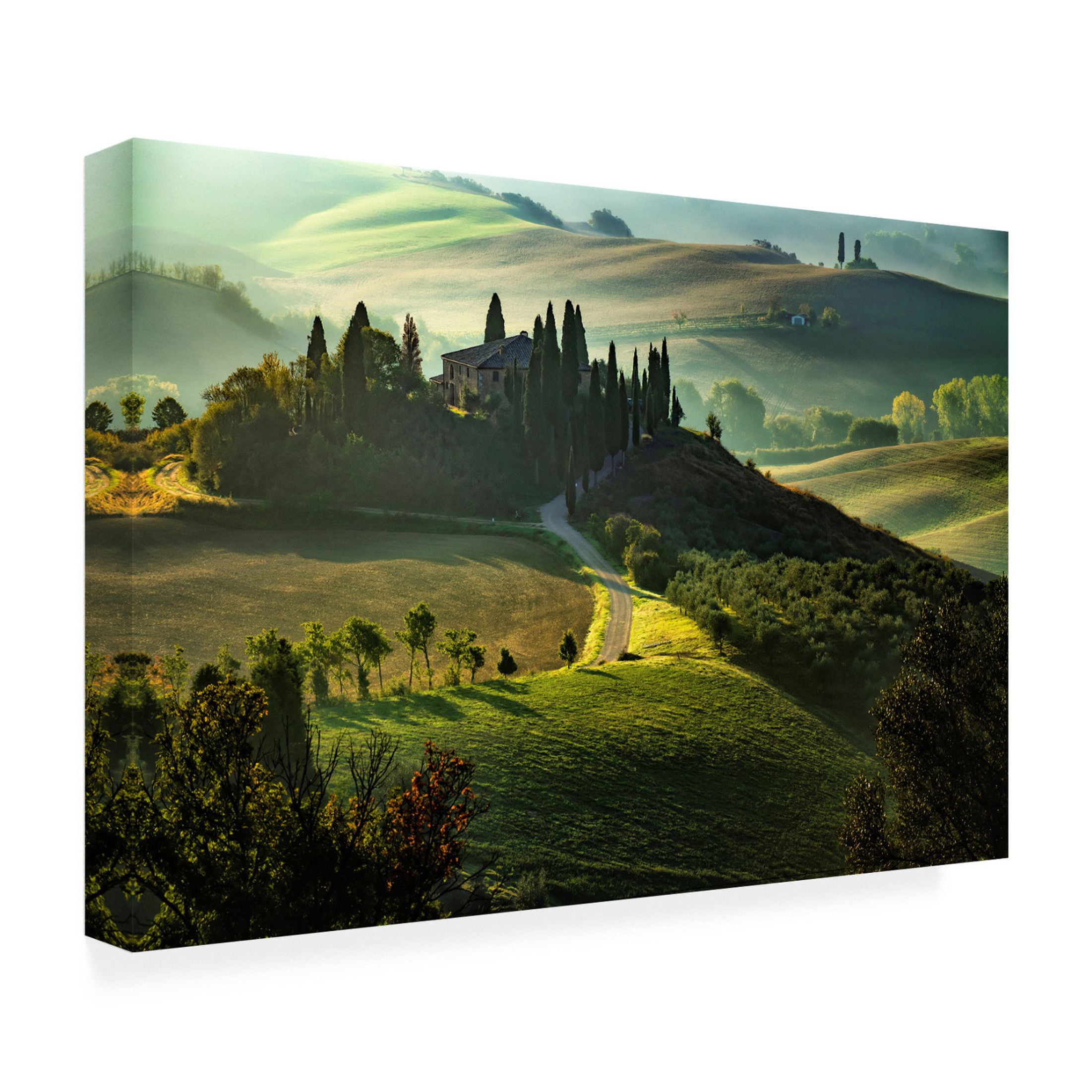 Trademark Fine Art Pasquale Guerra  Val d'Orcia Canvas Wall Art