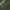 Jungle Olive Camo, variant on Wrangler Men's and Big Men's 10" Relaxed Fit Cargo Shorts With Stretch