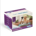 thumbnail image 2 of Vibrant Life Training Pads – Super Absorbent, Leak Proof, & Fast Dry Dog and Puppy Pee Pads – XXL 30 in x 36 in, 100 Count, 2 of 8
