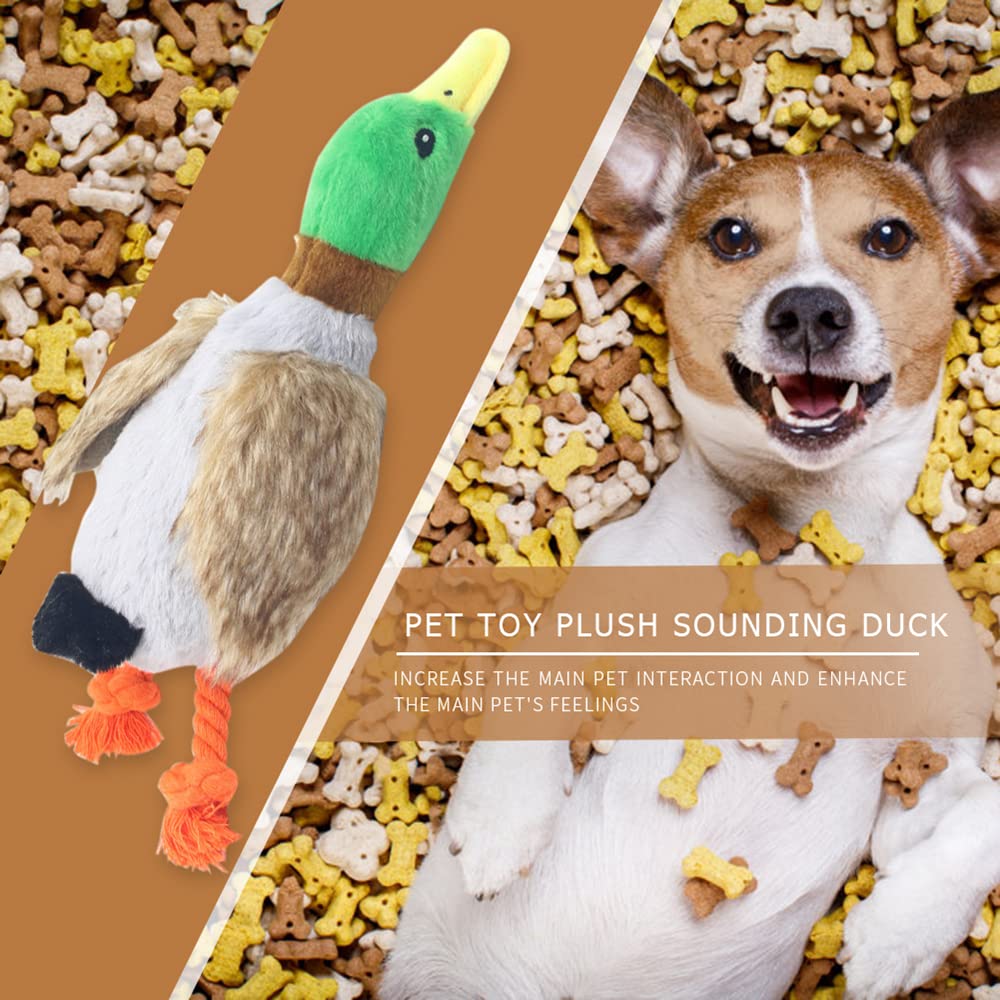 Lugackme 2-Pack Plush Dog Toys, Squeaky Dog Toys, Teething Toys Ducks for Small Dogs