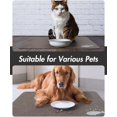 thumbnail image 5 of WEISIPU Absorbent Pet Food Mat, Quick Dry Dog Mat for Food and Water Bowls, Pet Supplies Mat for Dog Cat Puppy Kitten, 5 of 7