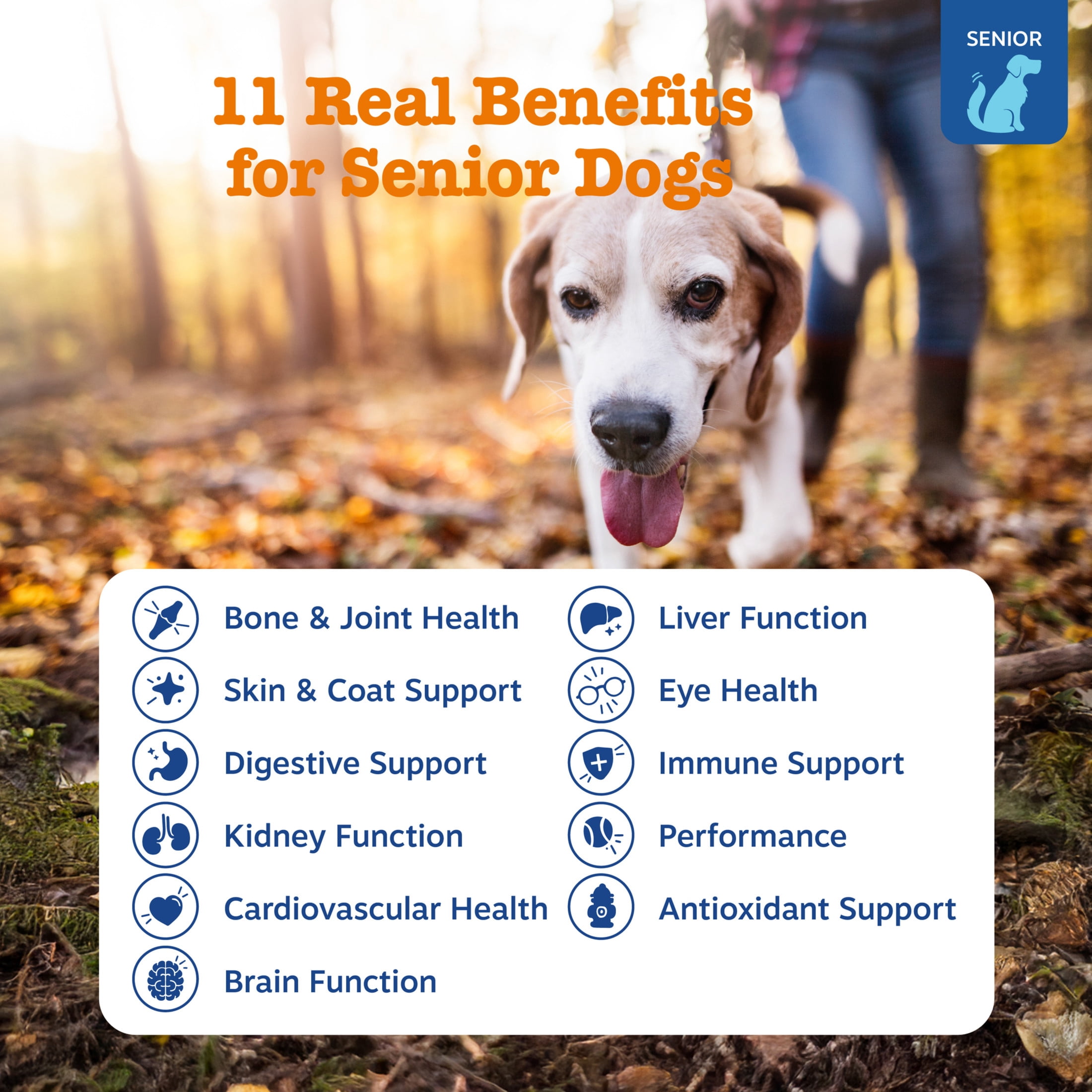 Zesty Paws Senior Advanced 11-in-1 Multivitamin Bites Beef Flavor Dog Supplement, 90 Count
