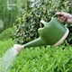 thumbnail image 1 of Regadera de 1 galón con cabezal de aspersor, regadera de plantas con boquilla de tallo largo para casa, interior, planta, exterior, flor decorativa, maceta de jardín moderna (4L, verde), 1 of 5