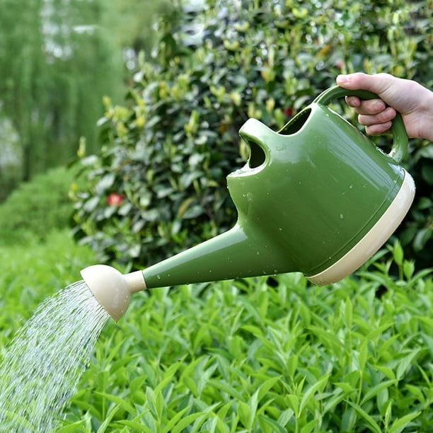 Regadera de 1 galón con cabezal de aspersor, regadera de plantas con boquilla de tallo largo para casa, interior, planta, exterior, flor decorativa, maceta de jardín moderna (4L, verde)