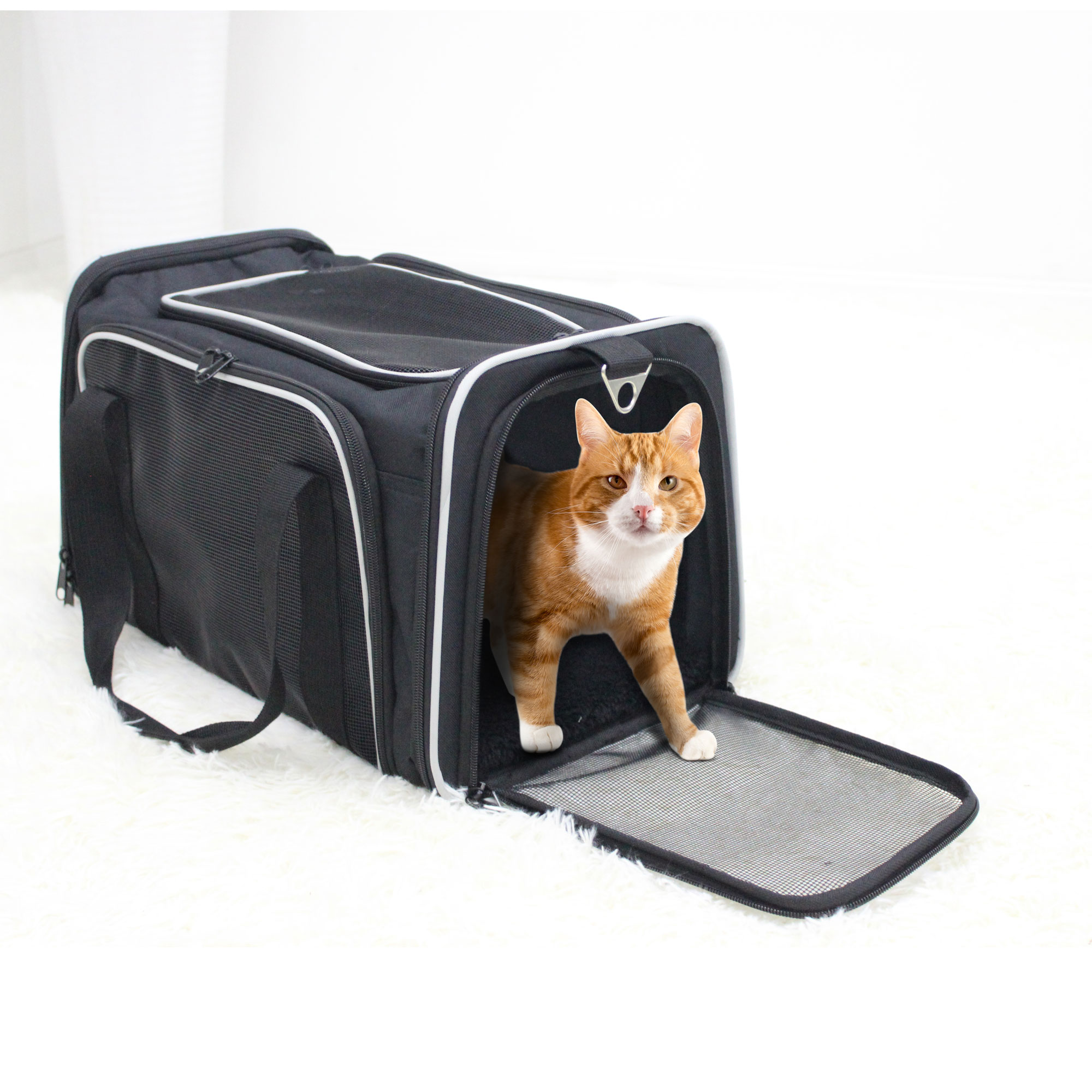 collapsible cat carrier walmart