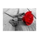 thumbnail image 2 of DIY 5D Kit de pintura de diamante por número, taladro completo Flor de rosa Animales Bordado de de imitación de cristal Suministros de punto Soledad Pintura Diamante DIY, 2 of 10