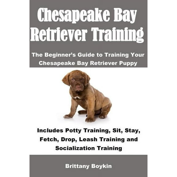 Chesapeake Bay Retriever Training: The Beginner's Guide to Training Your Chesapeake Bay Retriever Puppy: Includes P, (Paperback)