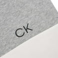 thumbnail image 3 of Calvin Klein Men's Long Sleeve Colorblock Pullover Hoodie, Brilliant White,L - US, 3 of 4