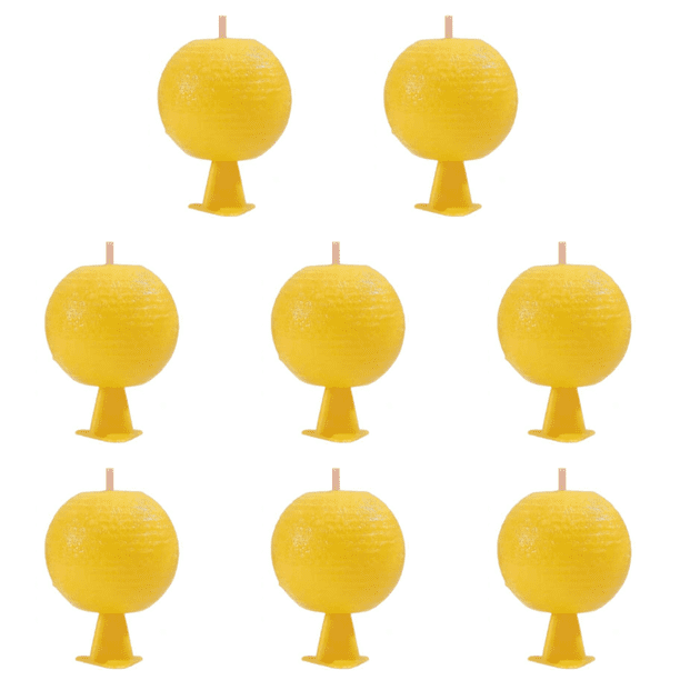 Trampas para Moscas La Adhesivas en Forma Interiores Y Exteriores (B)