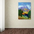 thumbnail image 3 of Trademark Fine Art "Autumn Amber California North" Canvas Art by Manor Shadian, 3 of 3