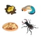 thumbnail image 2 of Modelo de Animales de Insectos Hugo Juguetes Adornos de Insectos Juego de Juguetes Educativos Estilo B, 2 of 10