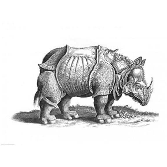 Rhinoceros Poster Print by Albrecht Durer - 24 x 18 in.