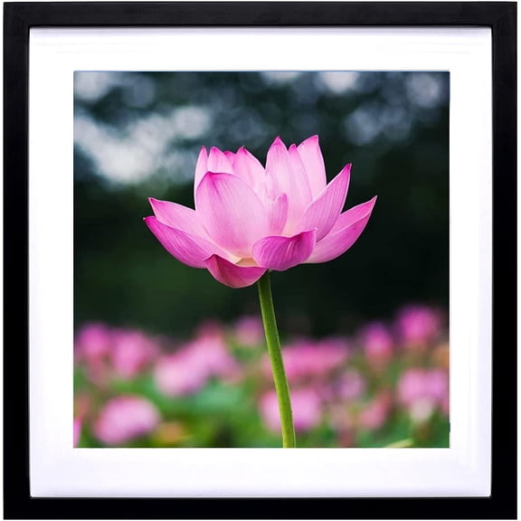 40x40 Diamond Painting Frames Picture Wood,Display Pictures16x16 Inch/ 40x40 cm with Mat or 18x18 Inch/45x45cm Without Mat, Diamond Embroidery Photo Frame Diamond Art frames Black (TK007)