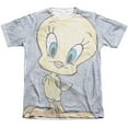 thumbnail image 1 of Looney Tunes - Tweety Girl - Short Sleeve Shirt - XX-Large, 1 of 2