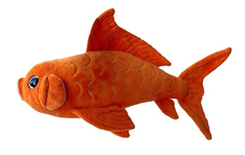 goldfish teddy