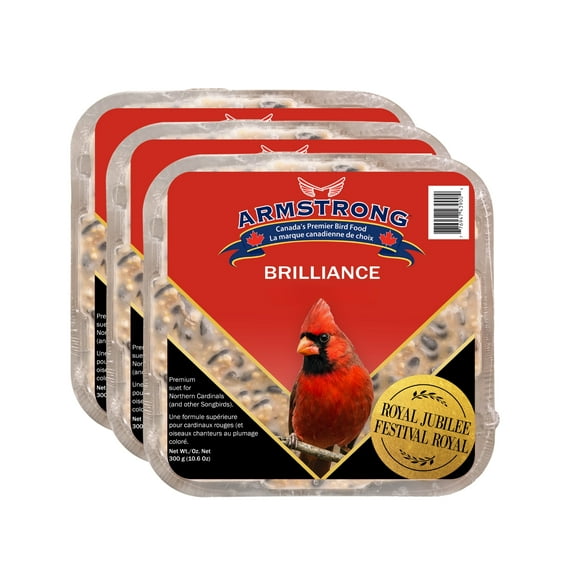 Armstrong Wild Bird Food Royal Jubilee Brilliance Suet Blend for Northern Cardinals, 10.6oz (Pack of 3)