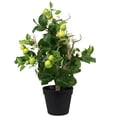 thumbnail image 4 of Northlight 1.9' Unlit Artificial Potted Bonsai-Style Green Apple Tree, 4 of 9